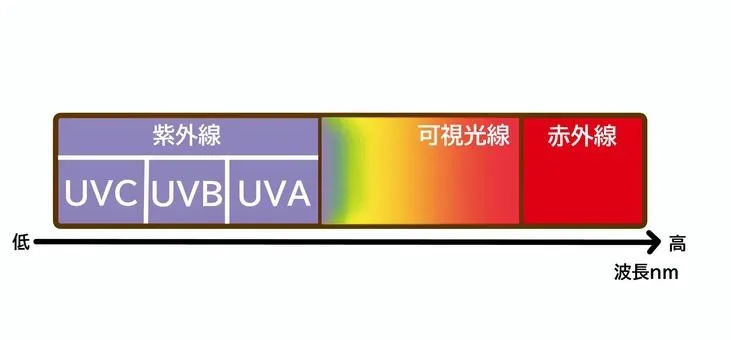 意外と知られていない「可視光」とシミの関係
